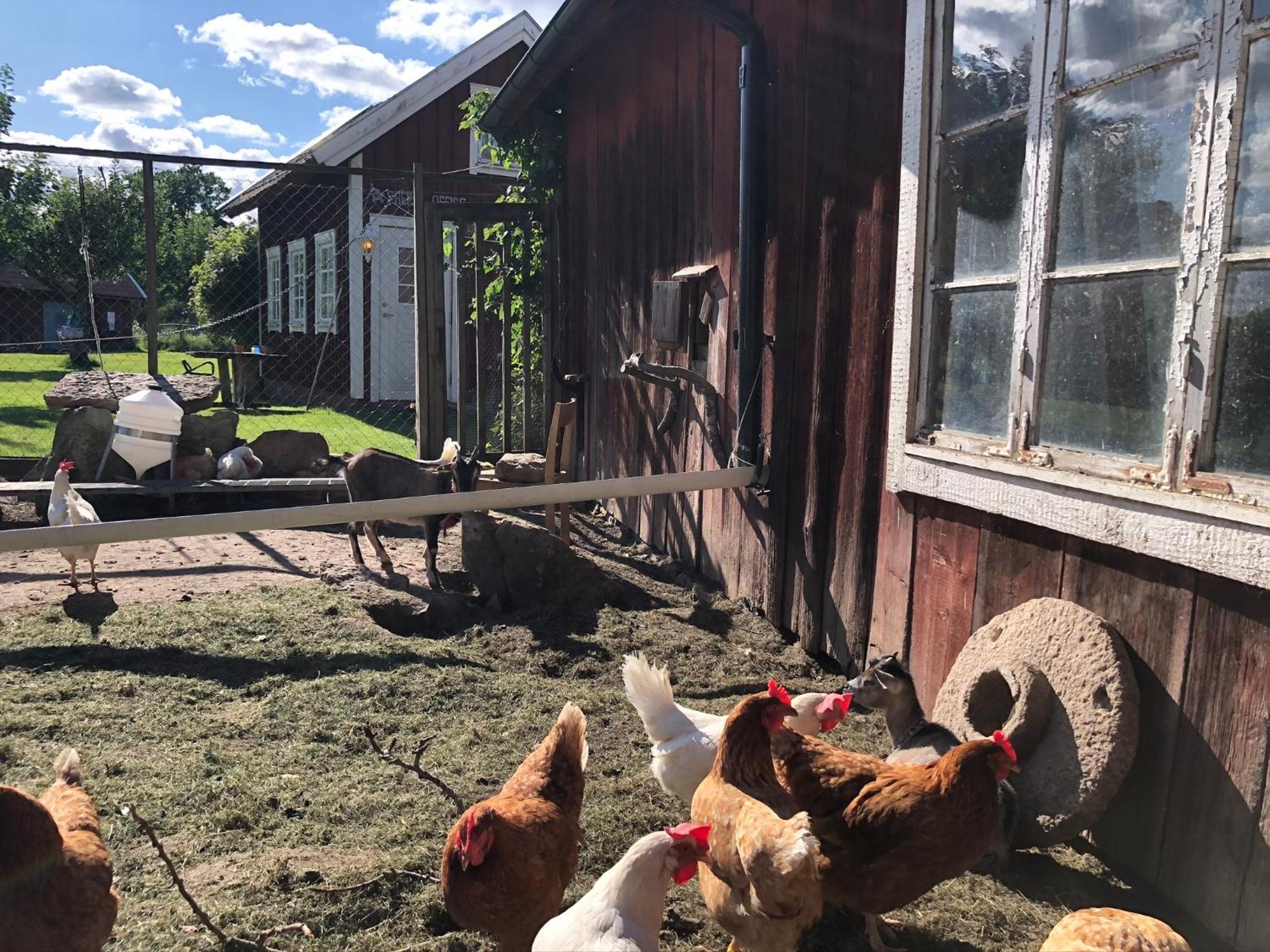Aeventyrsgardens Vandrarhem, Kinnekulle Källby Buitenkant foto