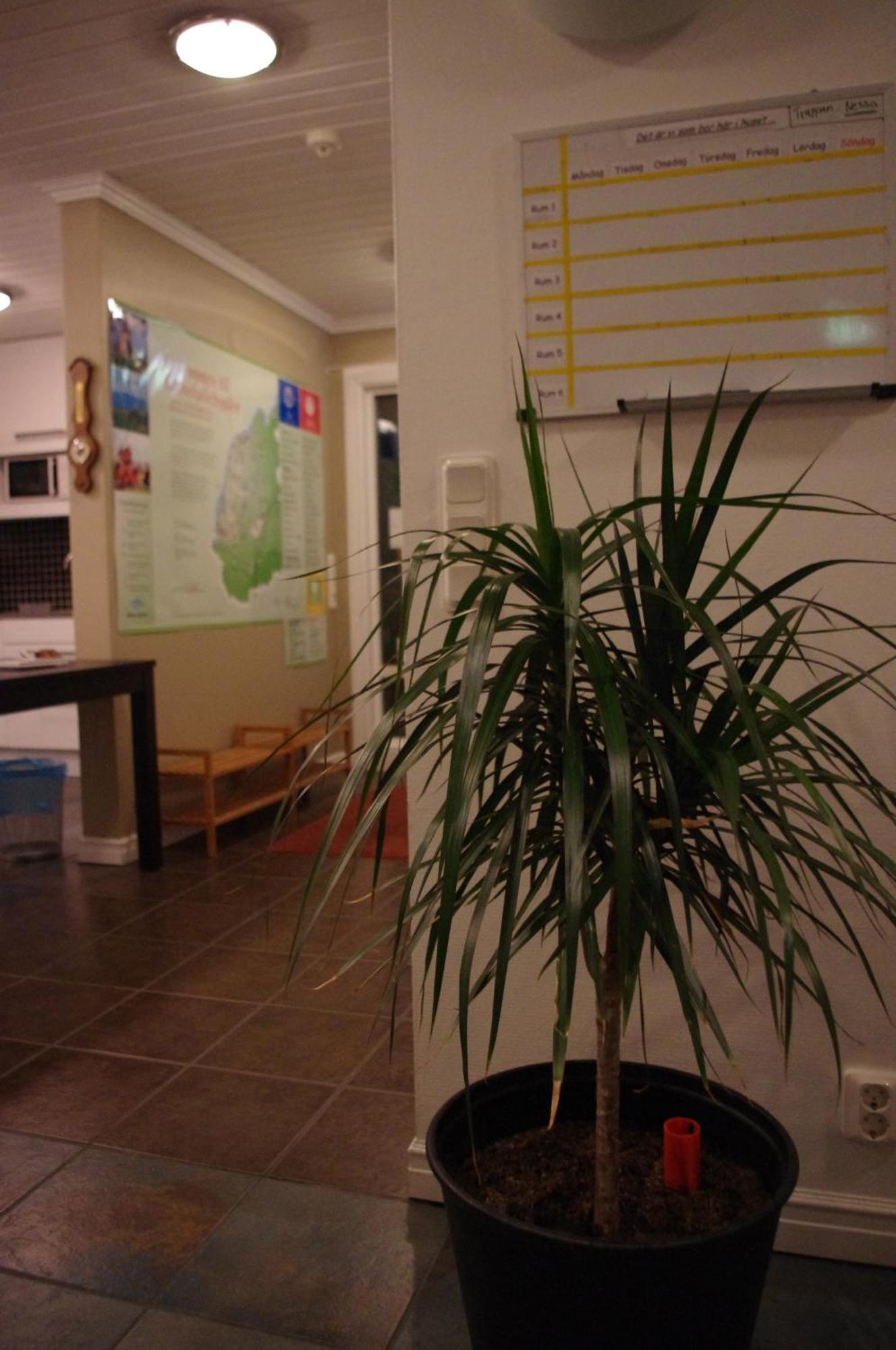 Aeventyrsgardens Vandrarhem, Kinnekulle Källby Buitenkant foto